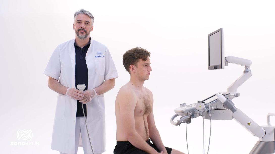 Supraspinatus tendon detailed 1 - hands on SAX