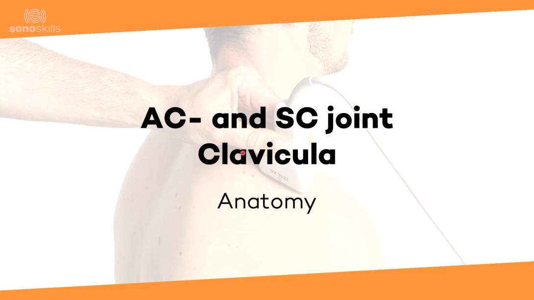AC / SC / Clavicula anatomy
