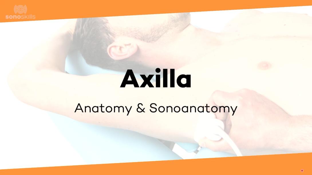 (Sono)anatomy of the axilla