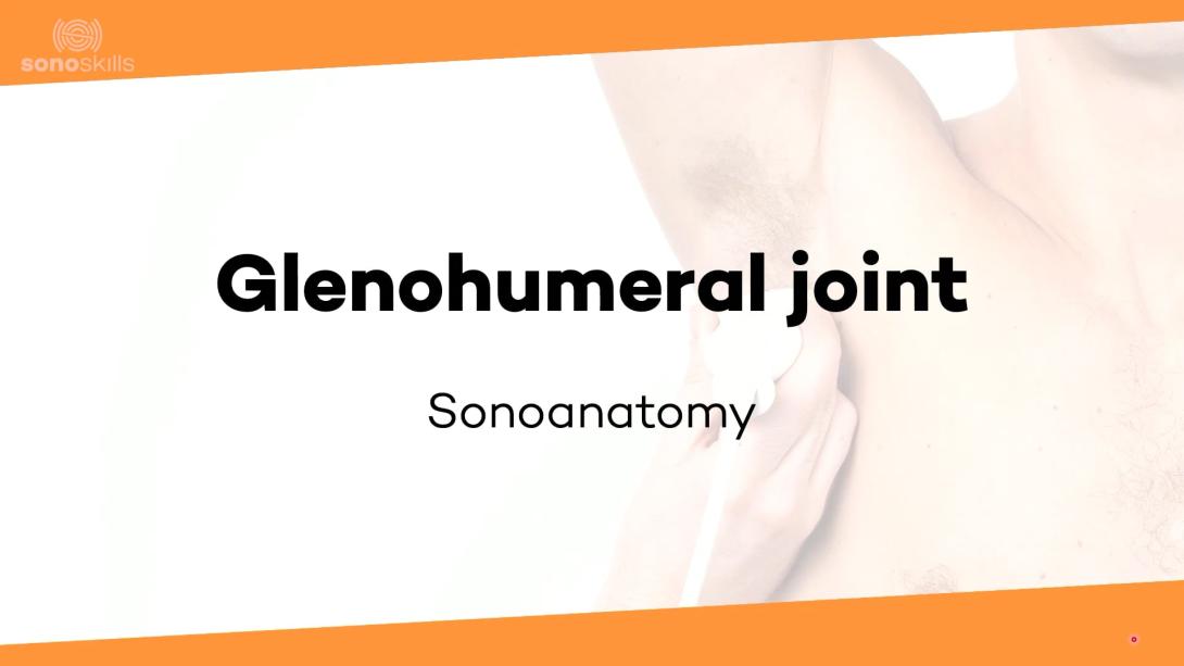 Glenohumeral joint - sonoanatomy