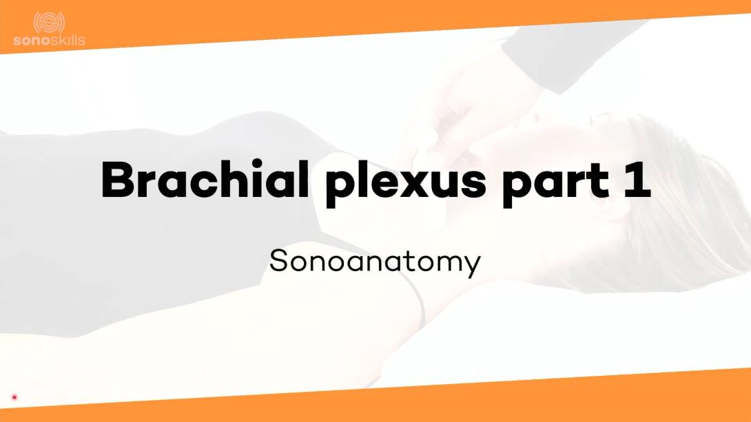 Brachial plexus part 1 - sonoanatomy